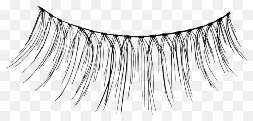 False Lashes Png 2 Image - Eyelash Extensions