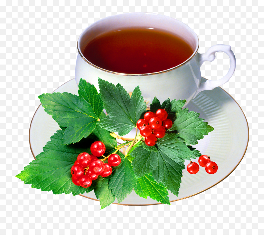 Food Png Transparent Images - Redcurrant,Tea Cup Transparent Background