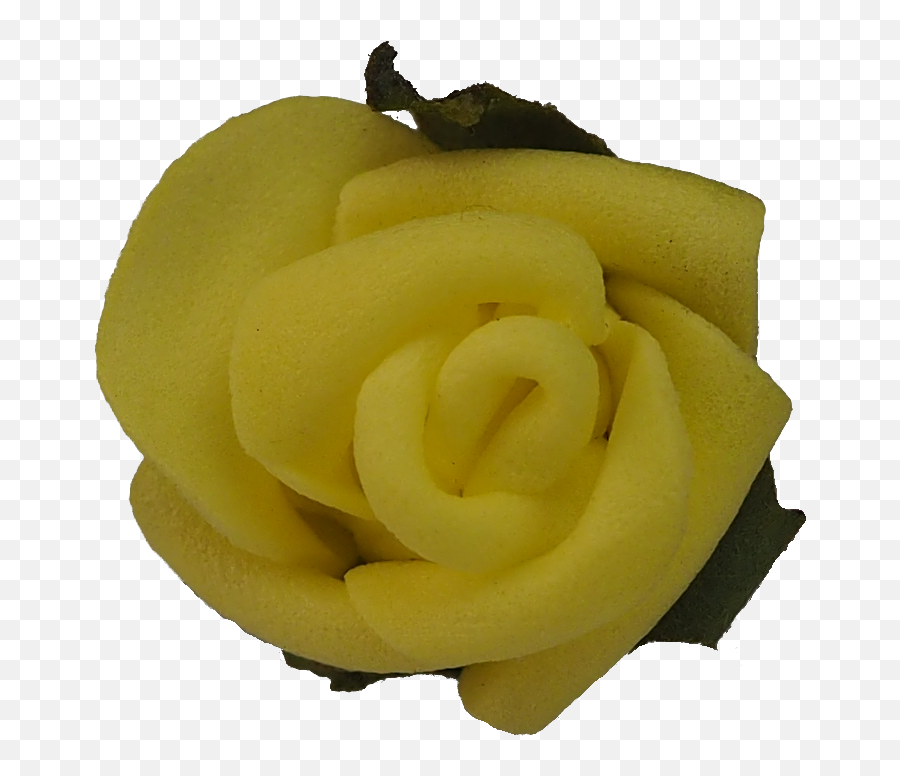 Yellow - Roseflowerfreepngtransparentimagesfreedownload Png,Yellow Rose Png