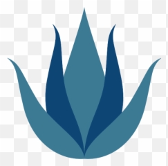 Aloe Vera Png Icon - Emblem,Aloe Vera Png