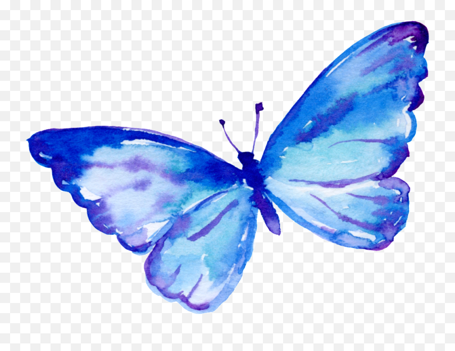 Download Flying Butterfly Cartoon Transparent - Flying Transparent Blue Butterflies  Animated Png,Flying Butterfly Png - free transparent png images 