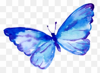 Download Flying Butterfly Cartoon Transparent - Blue Butterflies Animated png