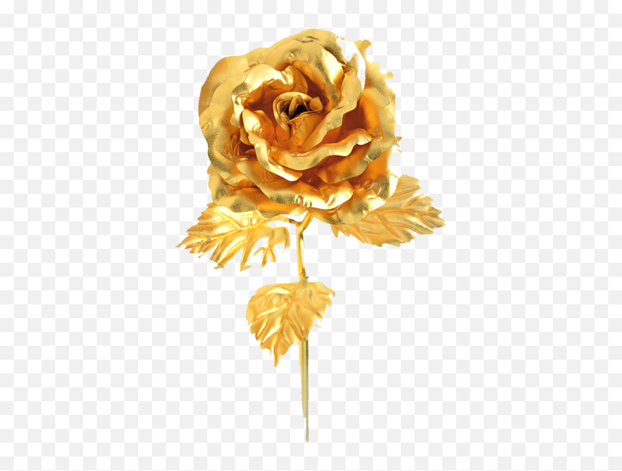 Gold Rose Psd Official Psds - Lovely Png,Gold Flower Png
