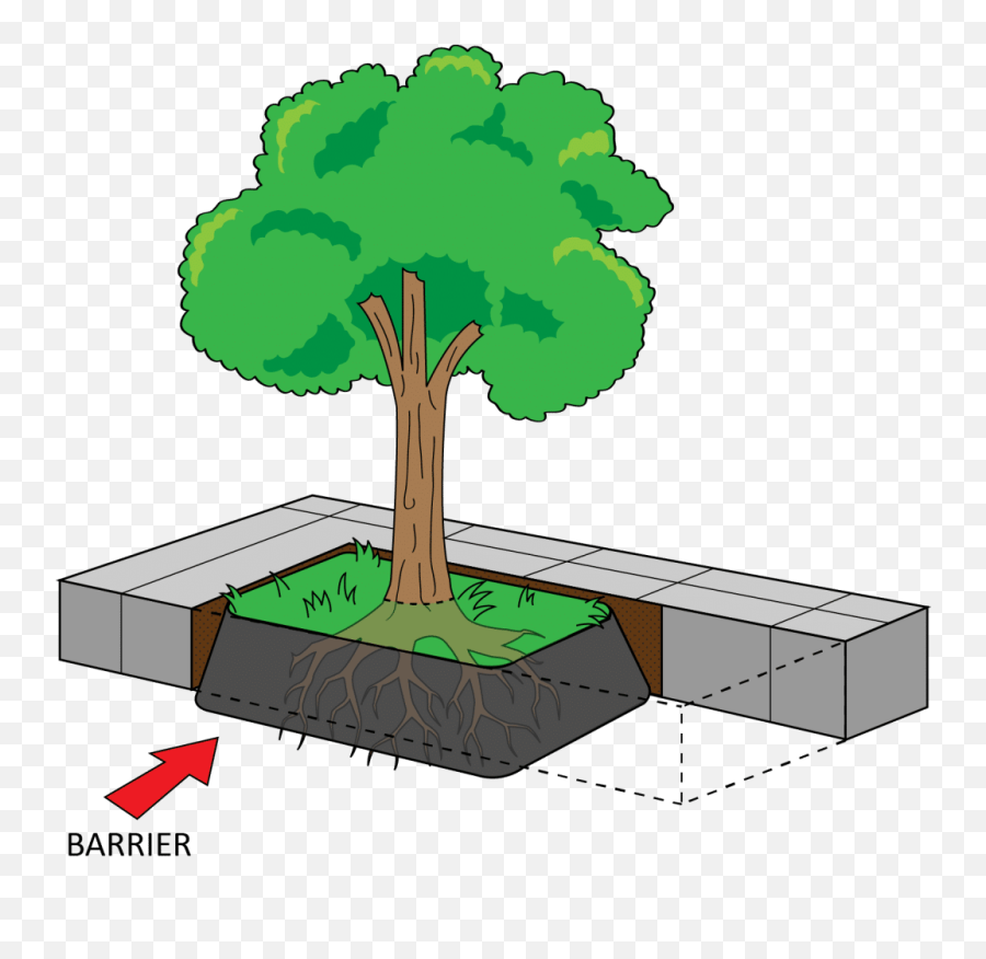 Installation Guide - Sidewalk Shield Area And Perimeter Clipart Png,Tree With Roots Png