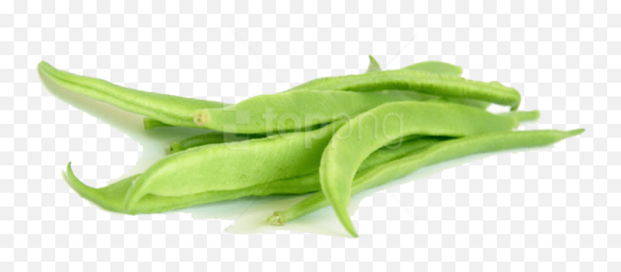 Green Bean Png Images Collection For Beans