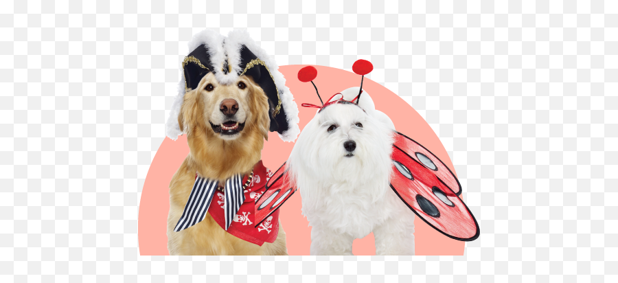 Furry - Dog Clothes Png,Furry Png