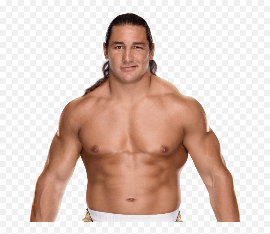 Who Would You Like To See Jump Ship Aew - General Dolph Ziggler Png 2019,Luke Harper Png