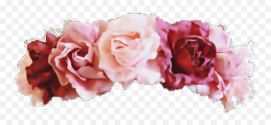 Flower Crown Overlays Picsart - Poop Emoji With Flower Crown Png,Poop Emoji Transparent
