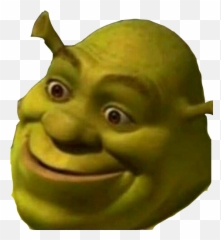 Shrek Fiona PNG Image - PurePNG  Free transparent CC0 PNG Image Library