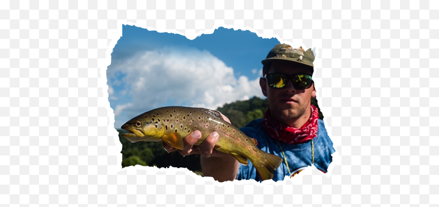 Fly Fishing Cornelius - Trout Png,Fly Fishing Icon