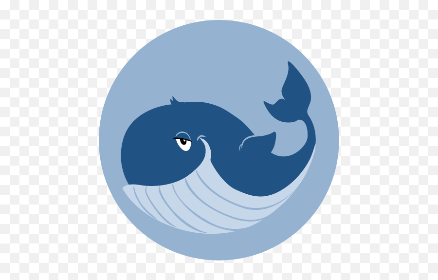 Jona - Dolphin Png,Whale Icon