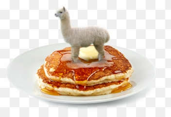 Pancakealpaca - 2 Pancakes png