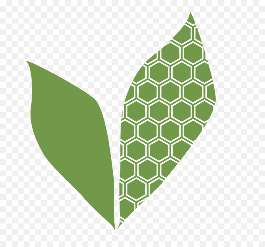 Bee Sweet Nature Co Naturally Speaking Ancient And - Vertical Png,Evergreen Tree Icon