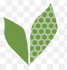 Bee Sweet Nature Co Naturally Speaking Ancient And - Vertical png