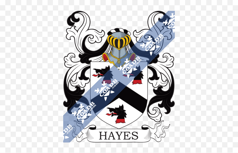 Hayes Family Crest Coat Of Arms And Name History - Portable Network Graphics Png,Katherine Mcnamara Icon