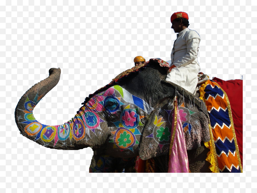 Jaipur Elephant Festival Png Background