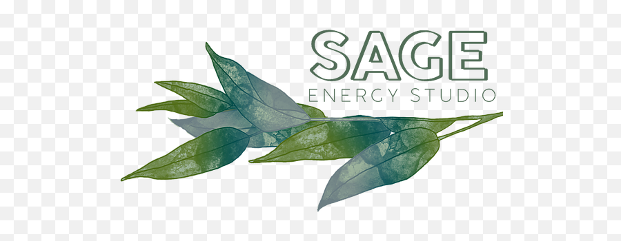 Home Sage Energy Studio - Buttonbush Png,Sage Png