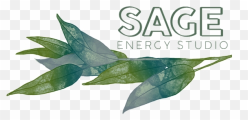 Home Sage Energy Studio - Buttonbush Png,Sage Png