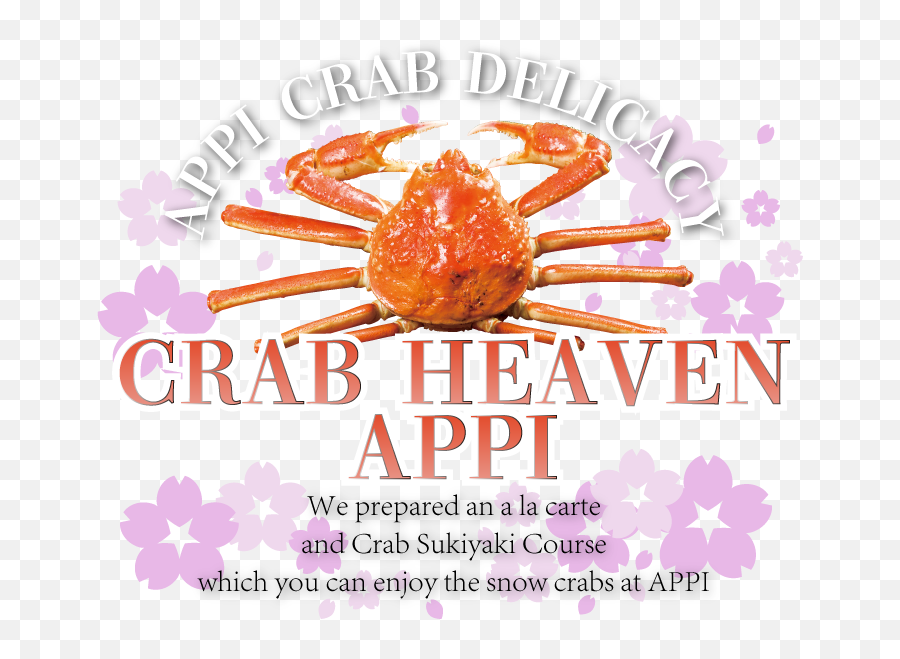 Appi English Official Site U2013 Be Happy In - Freshwater Crab Png,Crab Transparent
