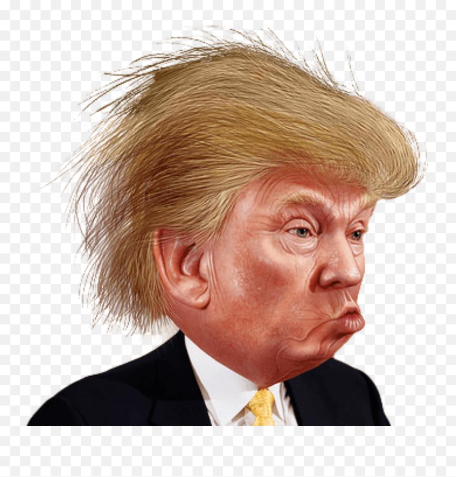 Download Funny Caricature Trump Color Face Hair Donald Hq - Donald Trump Funny Cartoon Png,Trump Png