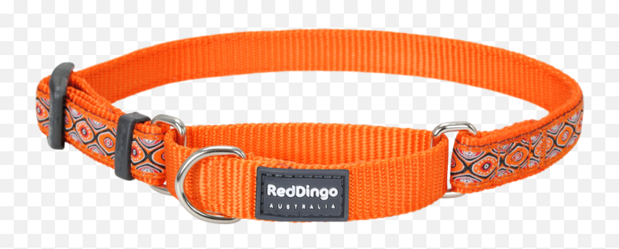 Martingale Snake Eyes Orange Designer Dog Collar - Dog Collar Png,Snake Eyes Png