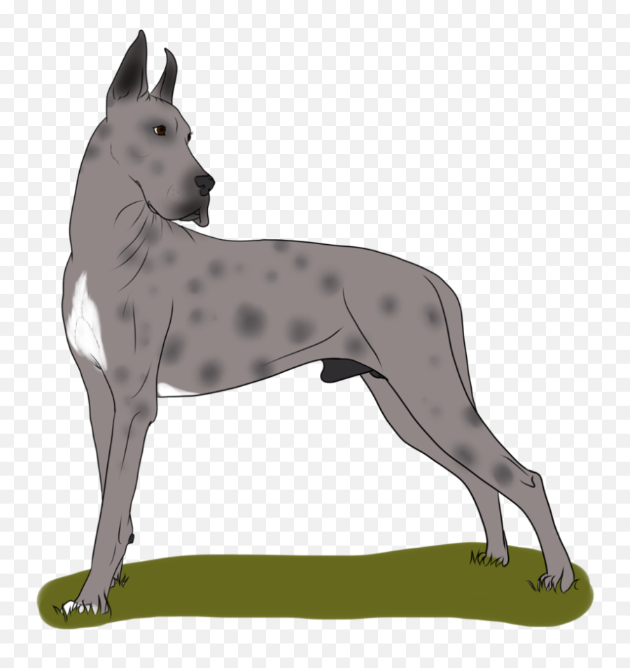 Great Dane Dog Breed Non - Great Dane Png,Great Dane Png