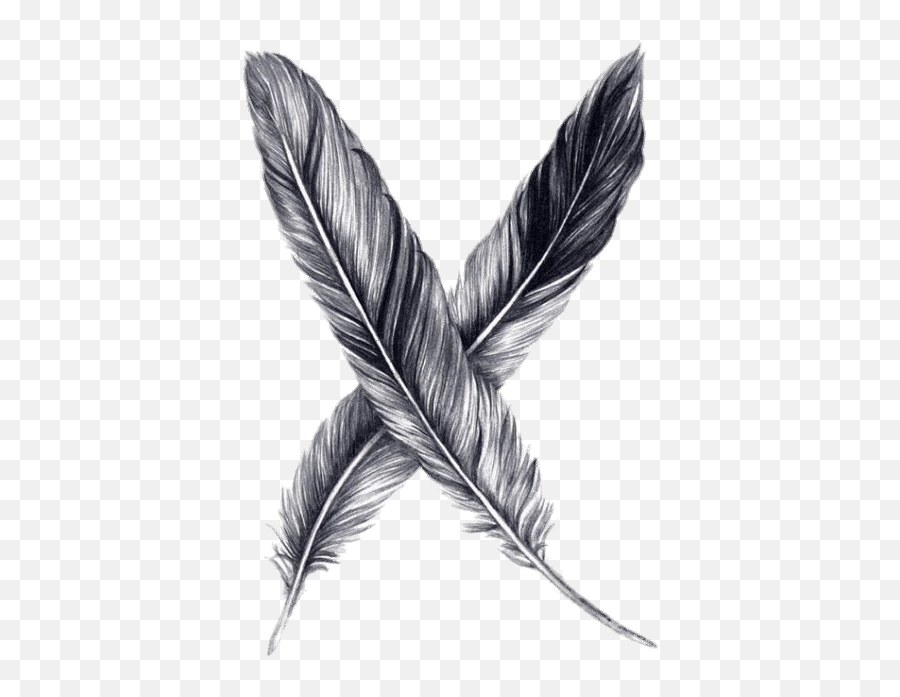 Feathers Drawing Transparent Png - Feather Drawing Transparent Background,Black Feather Png
