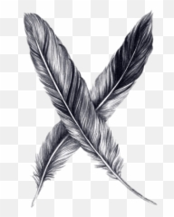 Feathers Drawing Transparent Png - Feather Drawing Transparent Background,Black Feather Png