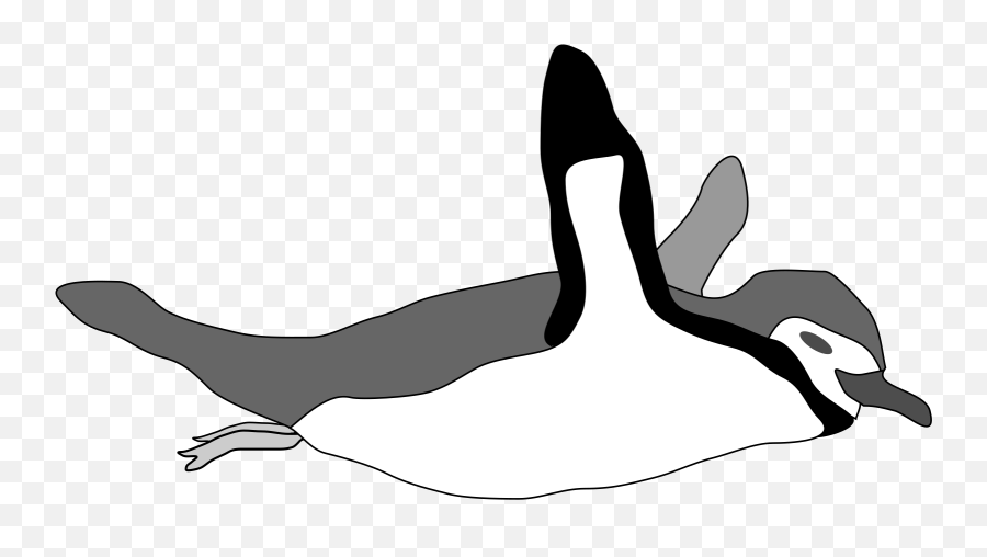 Penguin Swim Svg Vector Clip Art - Svg Clipart Emperor Penguin Swim Clipart Png,Swimming Clipart Png