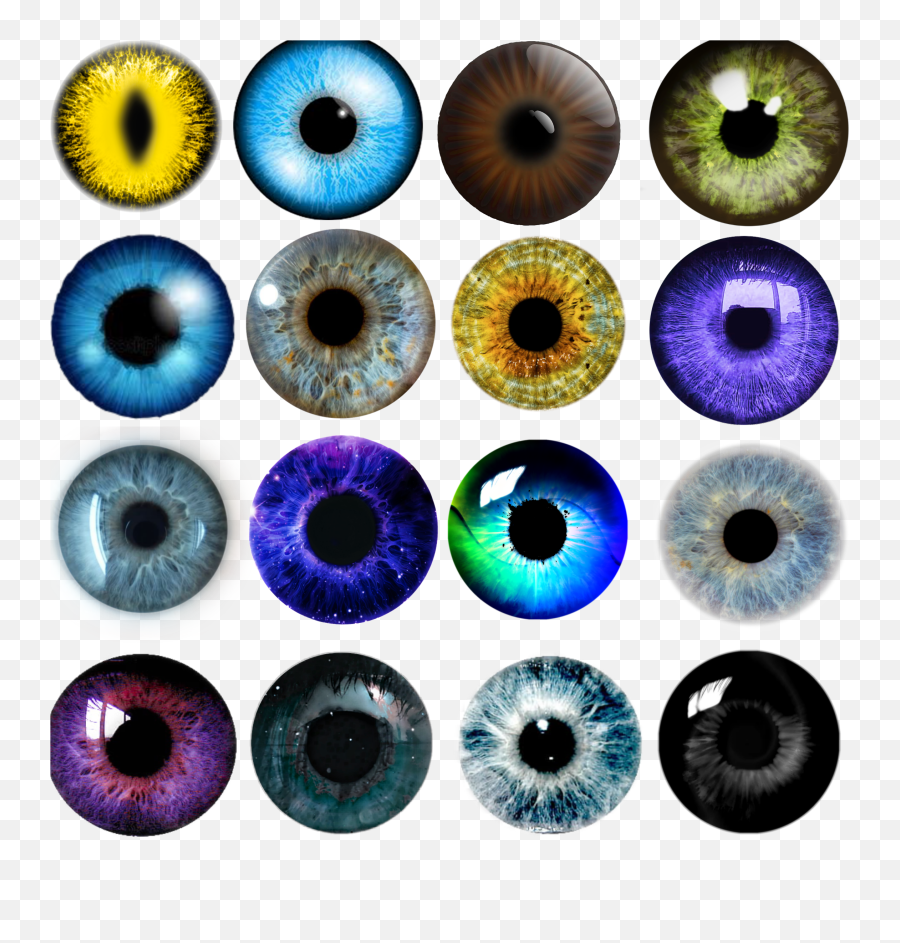 Eye Eyes Eyeball Eyeballs Sticker By Jaime - Iconos De Remodelacion Png,Eyeballs Png