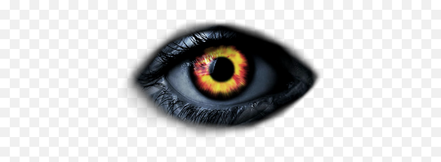 Eyes Png Eyeball Images In Hd Free Download - You Ve Been Cursed,Eyeball Transparent Background