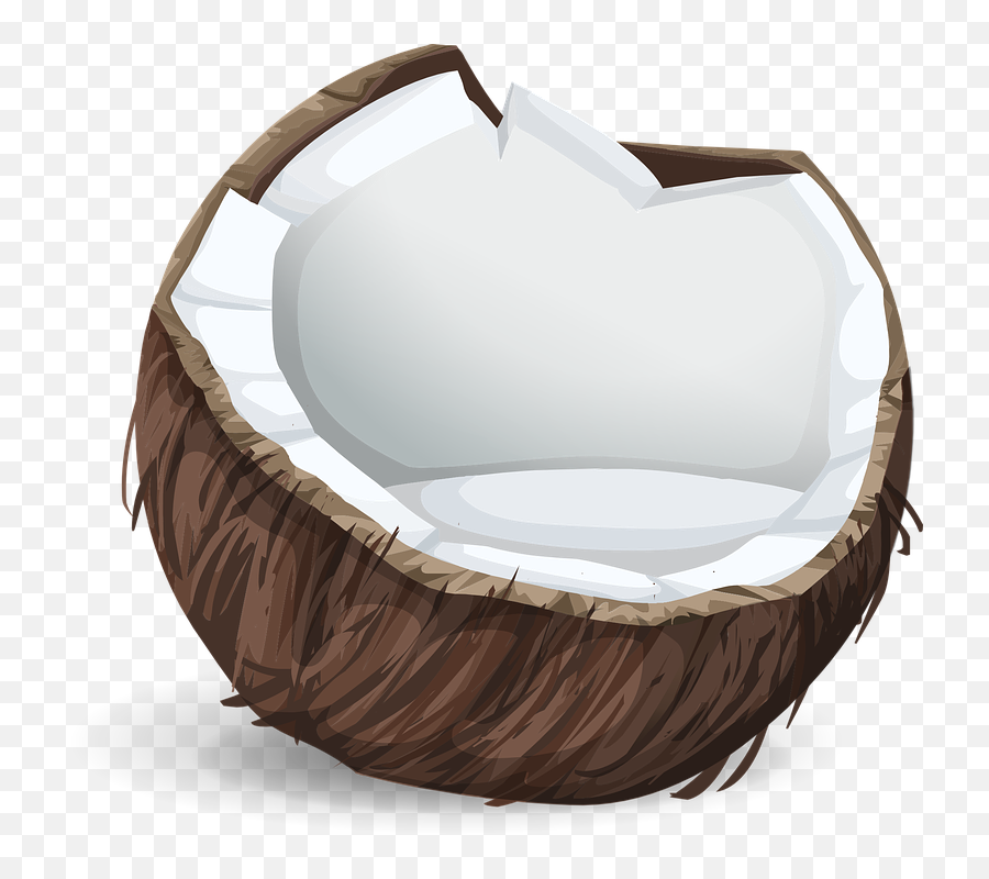 Coconut Oil Images - Sticker Coconut Png,Coconut Transparent