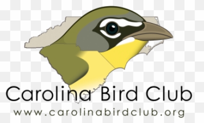 The Carolina Bird Club - png