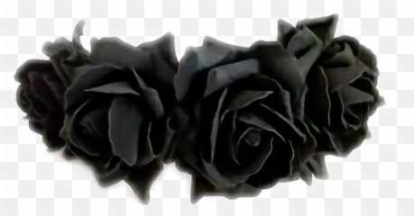 Black Flowercrown Cute Flower Sticker - Flower Crown Png Black,Transparent Black Flower Crown