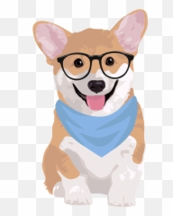 Corgi Iphone Wallpapers Png Transparent