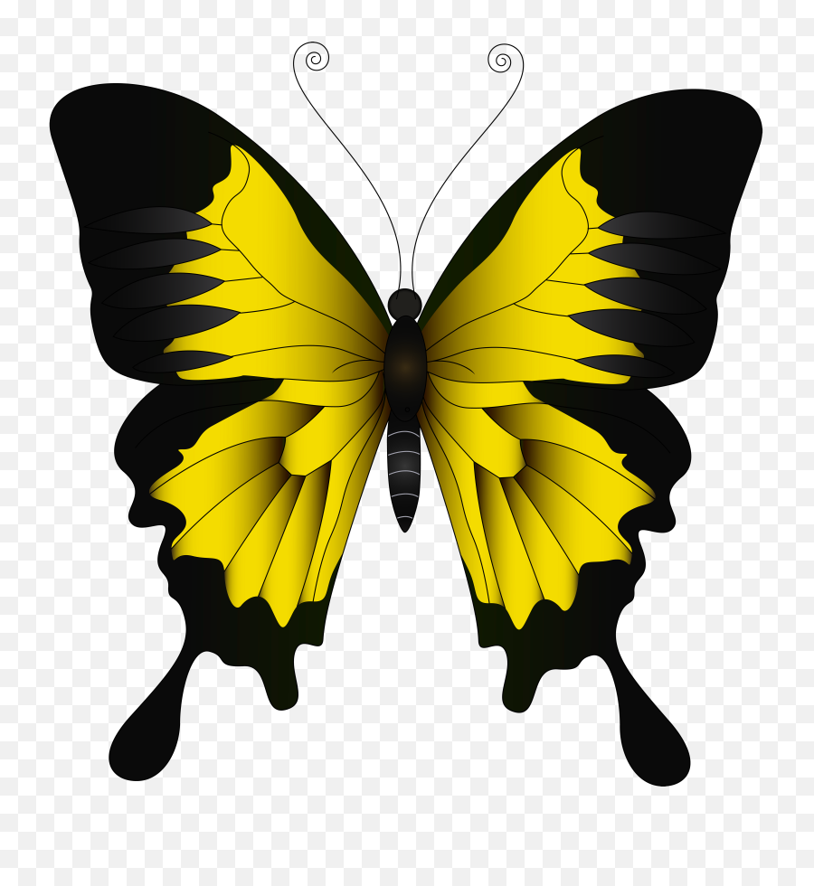 Butterfly Clipart Yellow - Yellow Butterfly Png,Butterfly Transparent