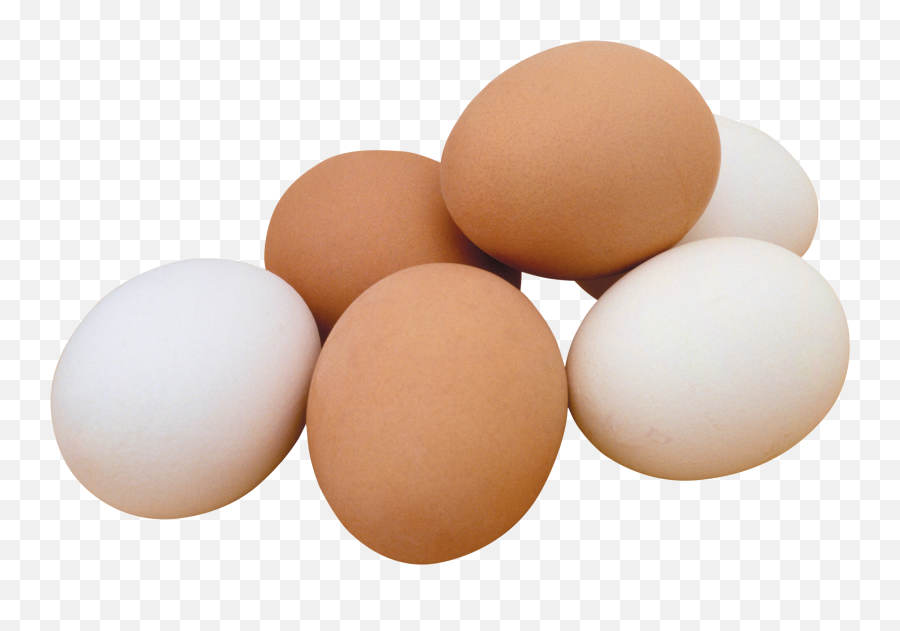 Free Egg Png Transparent Download - Chicken Egg Png,Cracked Egg Png