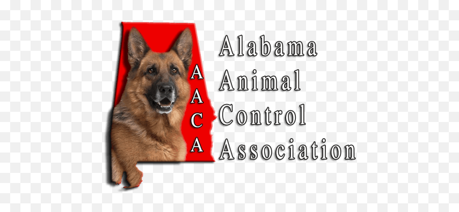 Alabama Animal Control Training Headquarters - Language Png,German Shepherd Icon