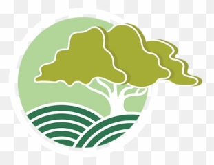 Isa Certified Arborist Teri Graham Florida Tree Inspector - Vertical png