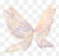 Angle Anglewings Angles Butterfly Butterflie - Translucent Fairy Wings Png Transparent