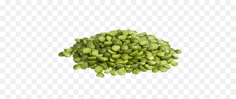 Download Hd Green Split Peas All - Pigeon Pea Png,Peas Png