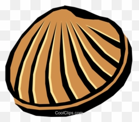 Vetores Clip Art - Conchas Ilustração Png,Concha Png
