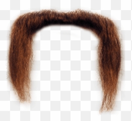 Mustache Long Transparent Png - Mustage