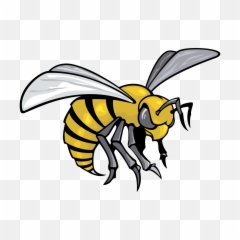 Download Alabama State Hornets 01 Logo - Alabama State Hornets Football Png,Hornets Logo Png