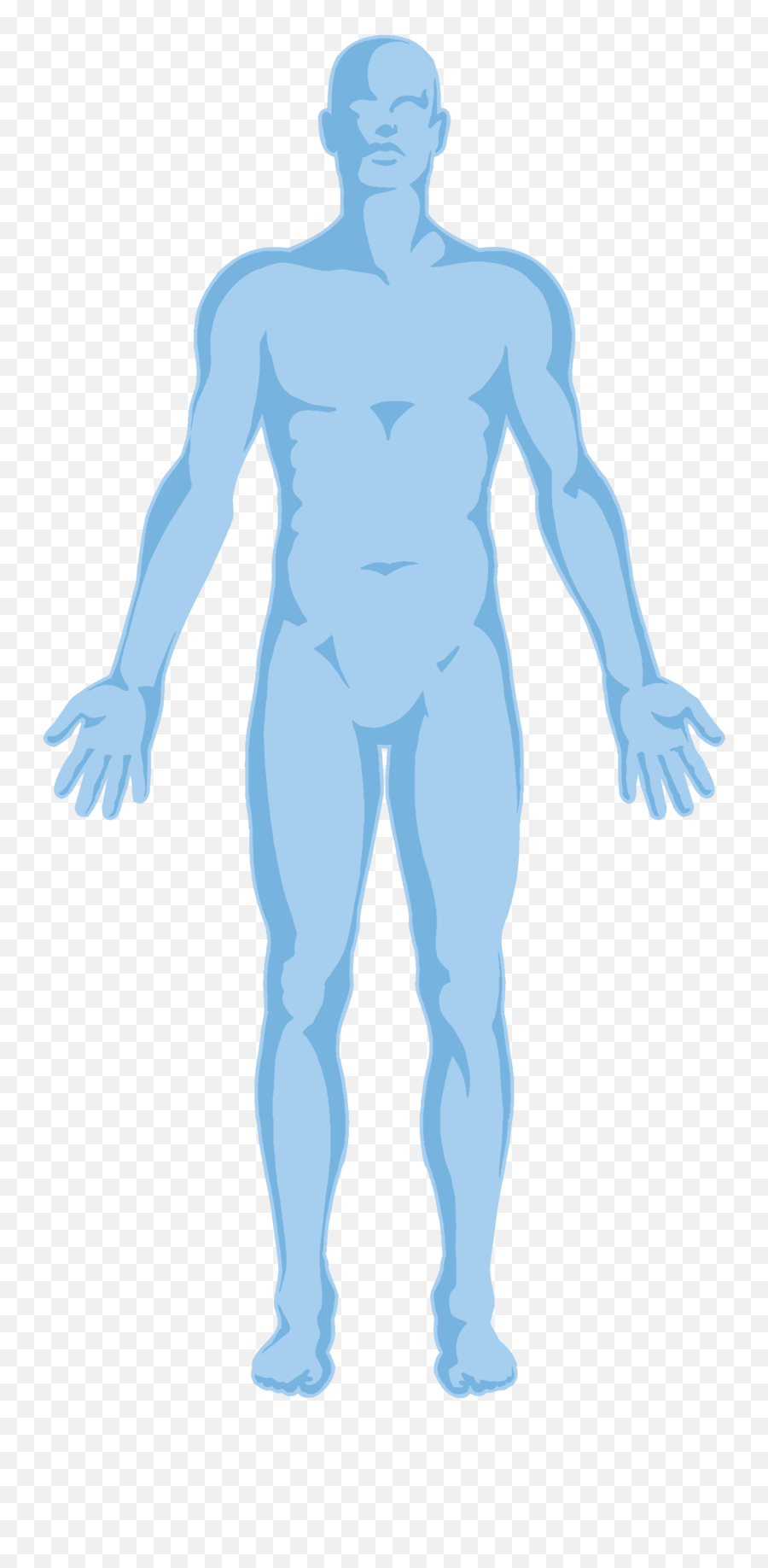 Free Png Human Body Outline U0026 Outlinepng - Transparent Background Human Body Outline Png,Human Body Png