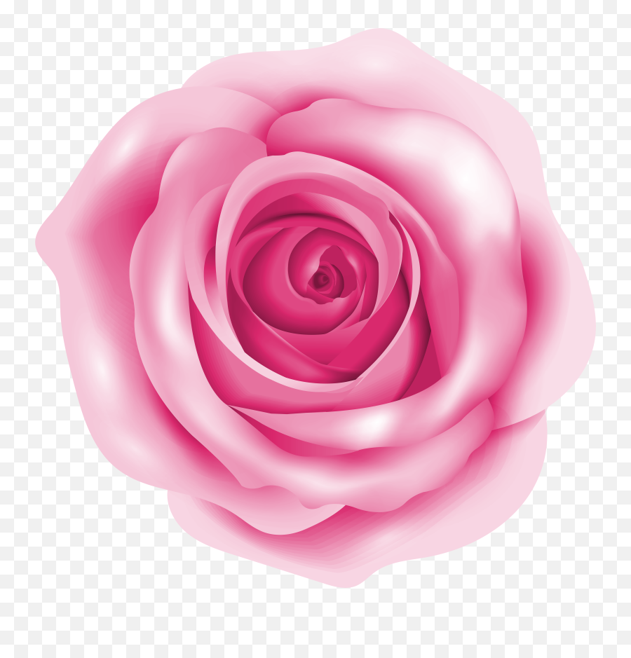 Rose Pink Clip Art - Pink Rose Png Download 50004998 Pink Rose Png Clipart,Pink Roses Png