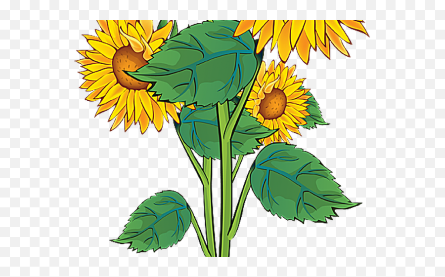 Plant Clipart Summer - Sun Flowers Clip Art Png Download Summer Clip Art Borders Free,Flowers Clip Art Png