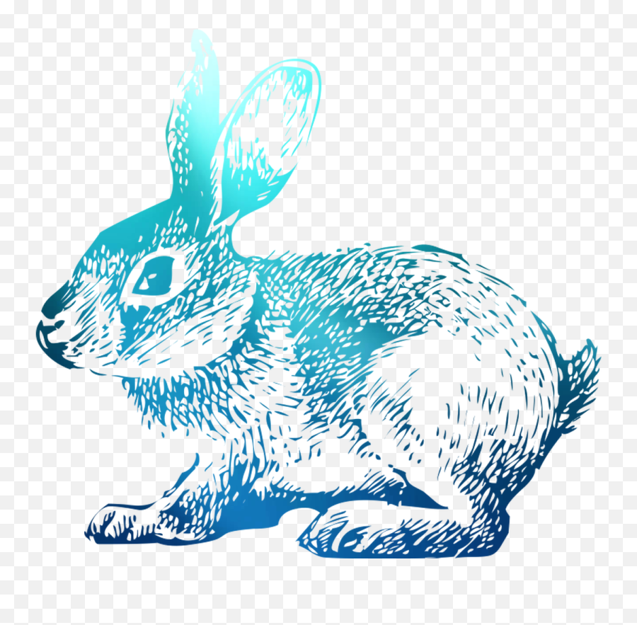 Download Domestic T - Shirt Hoppy Rabbit Easter Bunny Clipart Easter Png,Easter Bunny Png