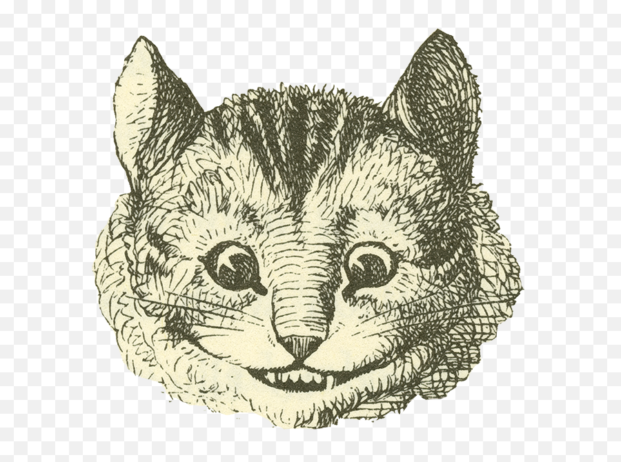Cheshire Cat - Alice In Wonderland Cheshire Cat Black And White Images Png,Cheshire Cat Png