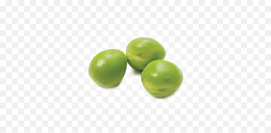 Download Free Png Pea Image - Single Green Pea Png,Pea Png